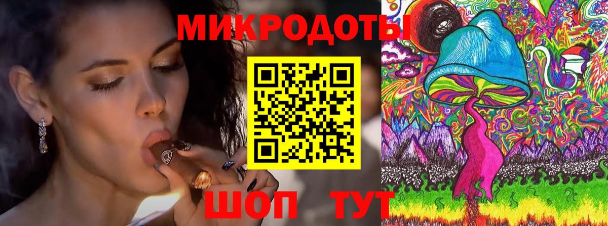 Галлюциногенные грибы Psilocybine cubensis Сосновоборск
