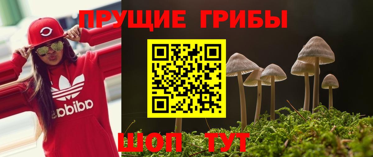 Псилоцибиновые грибы GOLDEN TEACHER  Псилоцибиновые грибы прущие грибы  Вход с VPN  цена наркотик  Сосновоборск 